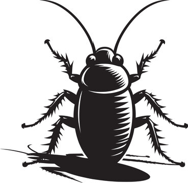 black cockroach insect isolated clip art preview