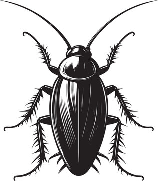 black cockroach insect detailed view clip art preview