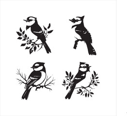 lack  Blue jay Silhouette Vector on Whit Background