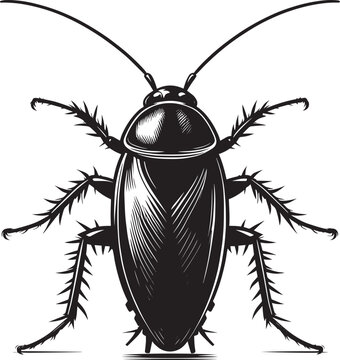 black cockroach insect detailed view clip art preview