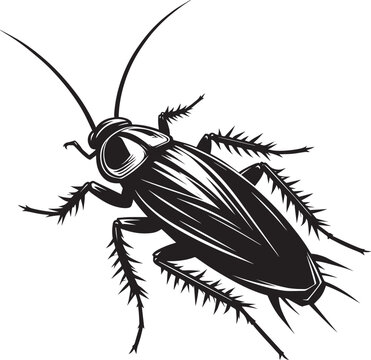 black cockroach insect isolated on white clip art preview