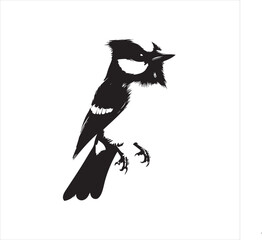 lack  Blue jay Silhouette Vector on Whit Background
