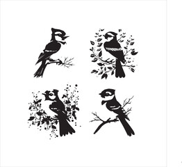 lack  Blue jay Silhouette Vector on Whit Background
