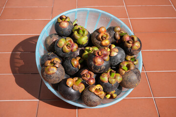 Many mangosteen fruits are called the queen of fruits.