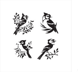 lack  Blue jay Silhouette Vector on Whit Background