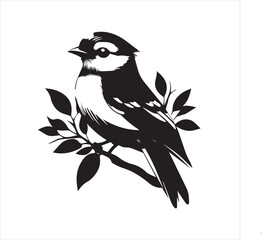 lack  Blue jay Silhouette Vector on Whit Background
