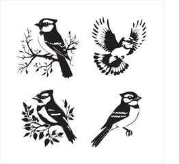 Fototapeta premium lack Blue jay Silhouette Vector on Whit Background