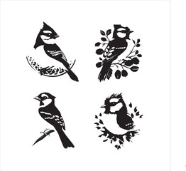 lack  Blue jay Silhouette Vector on Whit Background