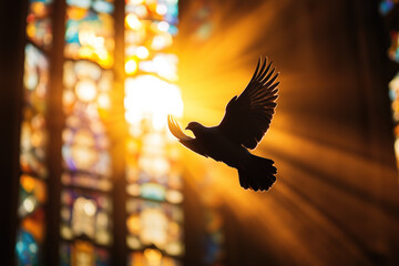 Sunlit stained glass church featuring a white dove