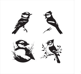 lack  Blue jay Silhouette Vector on Whit Background