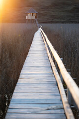 Fototapeta premium Old wooden boardwalk with a railing on the side and watchtower in the Sic reed reservation, Cluj , Romania