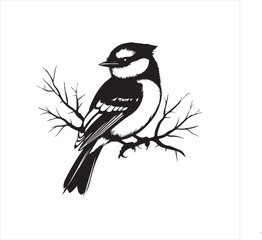lack  Blue jay Silhouette Vector on Whit Background