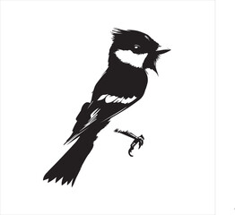 Fototapeta premium bird, vector, branch, animal, illustration, nature, tree, birds, silhouette, design, art, winter, cute, wildlife, cartoon, crow, beak, black, flower, spring, bullfinch, drawing, leaf, wing, wild