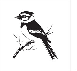 bird, vector, branch, animal, illustration, nature, tree, birds, silhouette, design, art, winter, cute, wildlife, cartoon, crow, beak, black, flower, spring, bullfinch, drawing, leaf, wing, wild