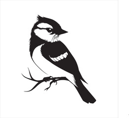 bird, vector, branch, animal, illustration, nature, tree, birds, silhouette, design, art, winter, cute, wildlife, cartoon, crow, beak, black, flower, spring, bullfinch, drawing, leaf, wing, wild