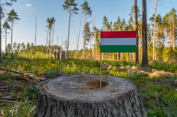 UN Climate Change Conference. Hungary Deforestation. Ecological disaster, deforestation in Somogy...