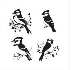 bird, vector, branch, animal, illustration, nature, tree, birds, silhouette, design, art, winter, cute, wildlife, cartoon, crow, beak, black, flower, spring, bullfinch, drawing, leaf, wing, wild