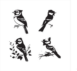 bird, vector, branch, animal, illustration, nature, tree, birds, silhouette, design, art, winter, cute, wildlife, cartoon, crow, beak, black, flower, spring, bullfinch, drawing, leaf, wing, wild