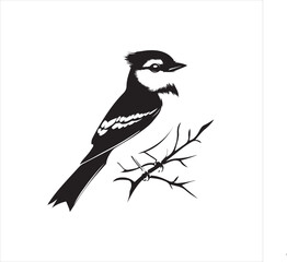 bird, vector, branch, animal, illustration, nature, tree, birds, silhouette, design, art, winter, cute, wildlife, cartoon, crow, beak, black, flower, spring, bullfinch, drawing, leaf, wing, wild