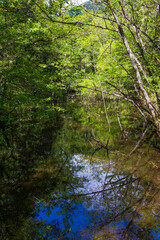 日本の風景・初夏　長野　新緑の上高地