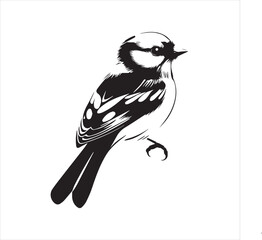 bird, vector, branch, animal, illustration, nature, tree, birds, silhouette, design, art, winter, cute, wildlife, cartoon, crow, beak, black, flower, spring, bullfinch, drawing, leaf, wing, wild