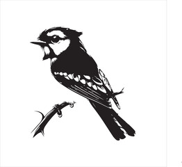 bird, vector, branch, animal, illustration, nature, tree, birds, silhouette, design, art, winter, cute, wildlife, cartoon, crow, beak, black, flower, spring, bullfinch, drawing, leaf, wing, wild