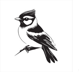 bird, vector, branch, animal, illustration, nature, tree, birds, silhouette, design, art, winter, cute, wildlife, cartoon, crow, beak, black, flower, spring, bullfinch, drawing, leaf, wing, wild