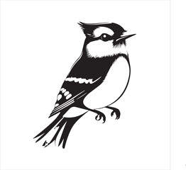 bird, vector, branch, animal, illustration, nature, tree, birds, silhouette, design, art, winter, cute, wildlife, cartoon, crow, beak, black, flower, spring, bullfinch, drawing, leaf, wing, wild