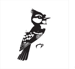 bird, vector, branch, animal, illustration, nature, tree, birds, silhouette, design, art, winter, cute, wildlife, cartoon, crow, beak, black, flower, spring, bullfinch, drawing, leaf, wing, wild