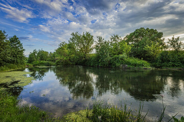 A river in the wild in summer