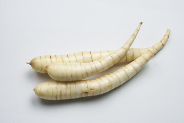 Arrow Root