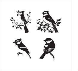 bird, vector, branch, animal, illustration, nature, tree, birds, silhouette, design, art, winter, cute, wildlife, cartoon, crow, beak, black, flower, spring, bullfinch, drawing, leaf, wing, wild