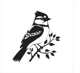 bird, vector, branch, animal, illustration, nature, tree, birds, silhouette, design, art, winter, cute, wildlife, cartoon, crow, beak, black, flower, spring, bullfinch, drawing, leaf, wing, wild