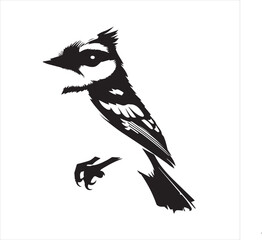 bird, vector, branch, animal, illustration, nature, tree, birds, silhouette, design, art, winter, cute, wildlife, cartoon, crow, beak, black, flower, spring, bullfinch, drawing, leaf, wing, wild