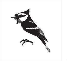 bird, vector, branch, animal, illustration, nature, tree, birds, silhouette, design, art, winter, cute, wildlife, cartoon, crow, beak, black, flower, spring, bullfinch, drawing, leaf, wing, wild