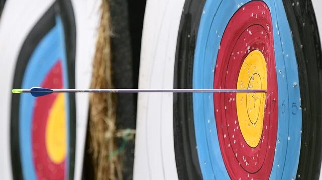 close up of the archery target that was hit almost the center.This sport requires concentration, starting from drawing the bow, focusing on the target, and deciding to shoot the arrow in a moment.