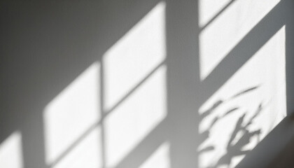 Window natural shadow overlay on white texture background, for overlay on product presentation, backdrop and mockup