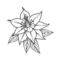Cassia Fistula Flower Icon. Thai National Blossom in Thin Line Vector Design