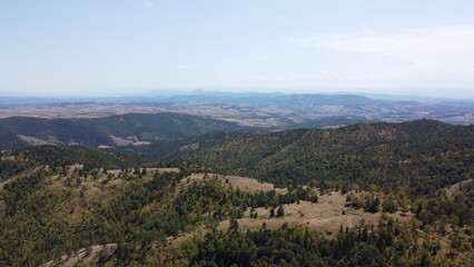 Naklejka premium tree national park country