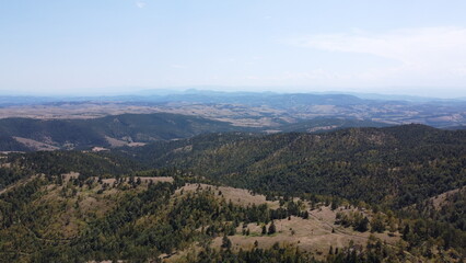 Naklejka premium tree national park country