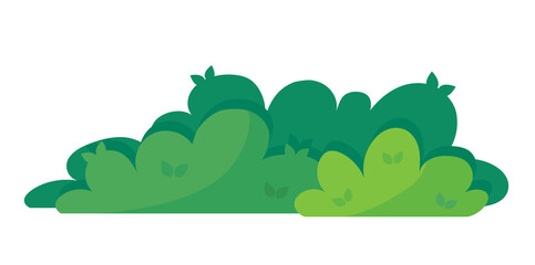 Green bush blossom. grass bush