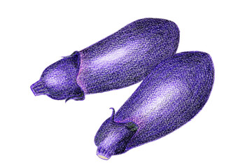 ナスのイラスト