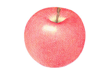 リンゴのイラスト