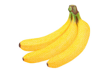 バナナのイラスト