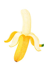 バナナのイラスト