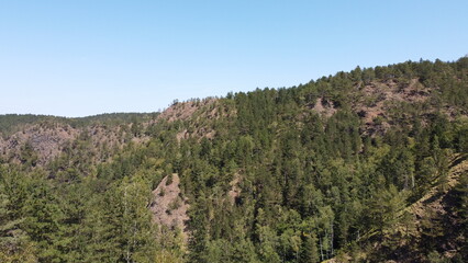 Rocky valley with evergreen trees