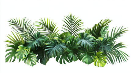Tropical leaves and foliage arranged in a jungle bush floral design, featuring Monstera and other tropical plants. Palm leaves are isolated on a white background, with a clipping path included.

