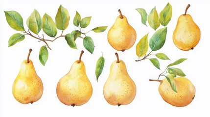Obraz premium Vibrant Watercolor Illustration of Yellow Pears and Lush Green Leaves