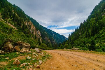 dirt road at cloudy summer day in mountains with spruce forest on slopes.