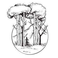 Black and white landscape illustration of big trees and savanna with mountains in the background